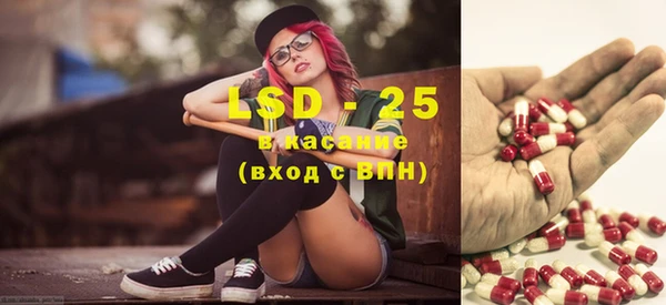 сатива Абинск