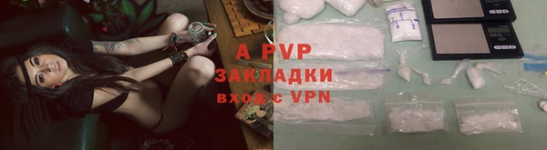 сатива Абинск