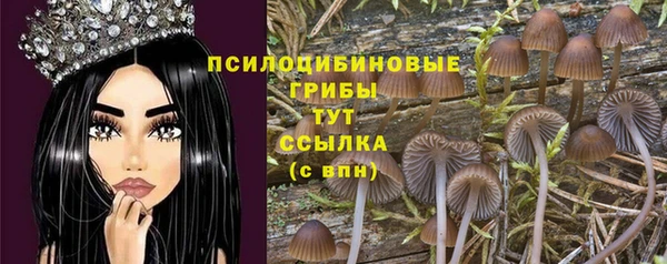сатива Абинск